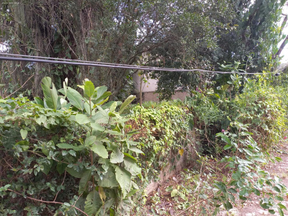 Imagem Terreno à Venda, 1.196 m² em Itaipu - Niterói