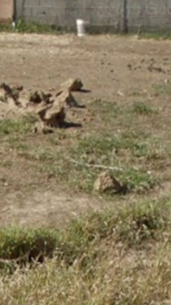 Imagem Terreno à Venda, 190 m² em Perinho - Caçapava Imagem Terreno à Venda, 190 m² em Perinho - Caçapava