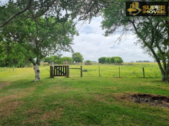 Imagem Imóvel com 2 Quartos à Venda, 14.700.000 m² em Quinta - Rio Grande