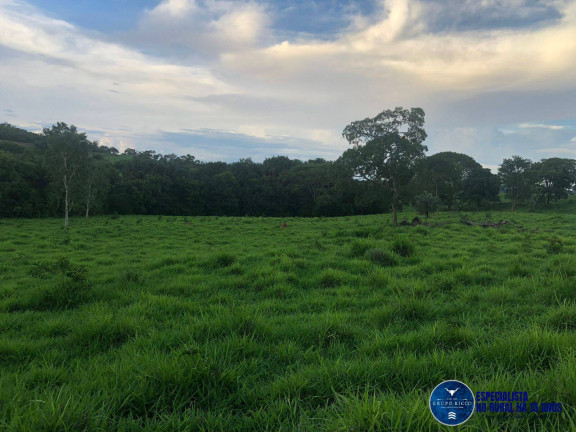 Imagem Chácara à Venda, 11 m² em Zona Rural - Jaraguá Imagem Chácara à Venda, 11 m² em Zona Rural - Jaraguá