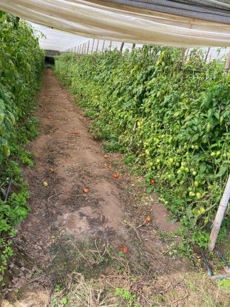 Imagem Chácara com 2 Quartos à Venda, 96 m² em Zona Rural - São Miguel Arcanjo Imagem Chácara com 2 Quartos à Venda, 96 m² em Zona Rural - São Miguel Arcanjo