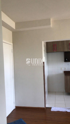 Imagem Apartamento com 2 Quartos para Alugar, 47 m² em Parque São Caetano - Campos Dos Goytacazes Imagem Apartamento com 2 Quartos para Alugar, 47 m² em Parque São Caetano - Campos Dos Goytacazes