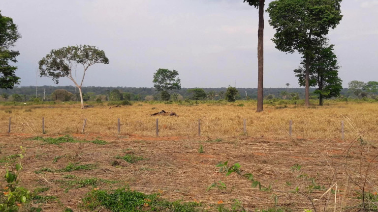 Imagem Fazenda à Venda, 242 m² em Zona Rural - Itaúba Imagem Fazenda à Venda, 242 m² em Zona Rural - Itaúba
