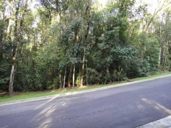 Imagem Terreno à Venda, 800 m² em Parque Boa Esperança - Gramado Imagem Terreno à Venda, 800 m² em Parque Boa Esperança - Gramado