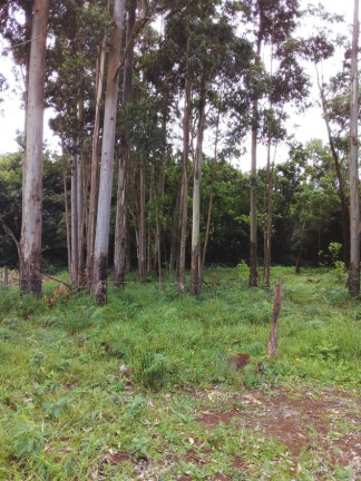 Imagem Chácara à Venda, em Lagoa Dos Barros - Santo Antônio Da Patrulha Imagem Chácara à Venda, em Lagoa Dos Barros - Santo Antônio Da Patrulha