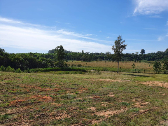 Imagem Chácara à Venda, 100 m² em Sanga Funda - Portão Imagem Chácara à Venda, 100 m² em Sanga Funda - Portão