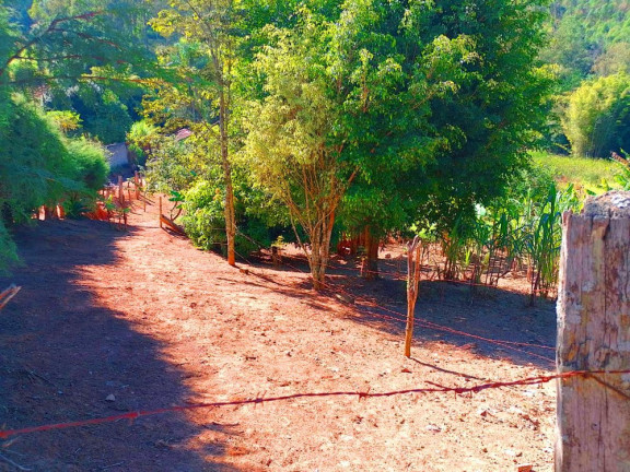 Imagem Imóvel com 1 Quarto à Venda, 5.000 m² em Pião - Piracaia Imagem Imóvel com 1 Quarto à Venda, 5.000 m² em Pião - Piracaia