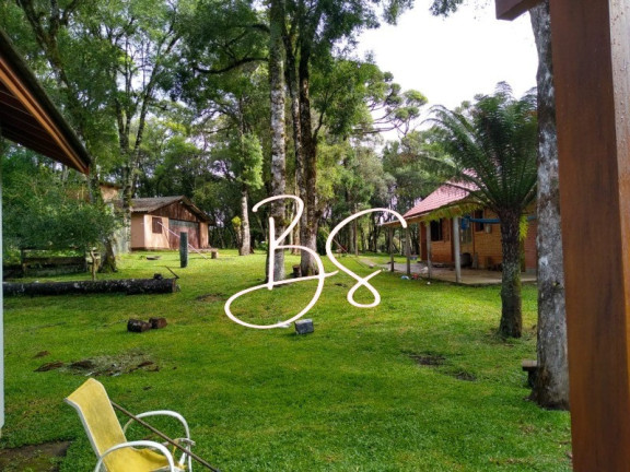 Imagem Imóvel com 2 Quartos à Venda, 30.000 m² em Centro - Gramado Imagem Imóvel com 2 Quartos à Venda, 30.000 m² em Centro - Gramado