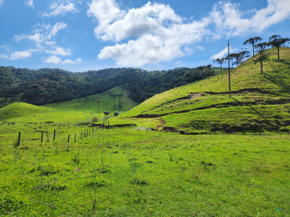 Imagem Imóvel à Venda, 184.000 m² em Zona Rural - Bom Retiro Imagem Imóvel à Venda, 184.000 m² em Zona Rural - Bom Retiro