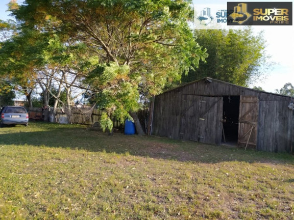 Imagem Imóvel com 2 Quartos à Venda, 60.000 m² em Quinta - Rio Grande