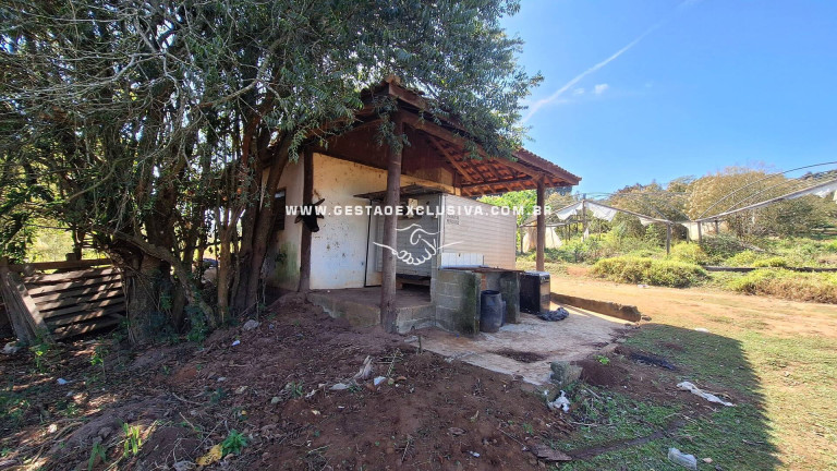 Imagem Chácara à Venda, 80.700 m² em área Rural De Morungaba - Morungaba