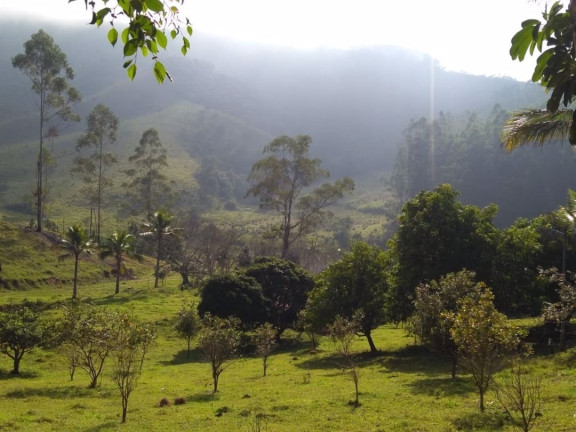 Imagem Fazenda à Venda, 600 m² em Lagoa - Paraibuna
