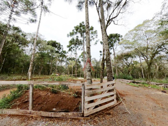 Imagem Fazenda à Venda, 20.000 m² em Jordão - Guarapuava Imagem Fazenda à Venda, 20.000 m² em Jordão - Guarapuava