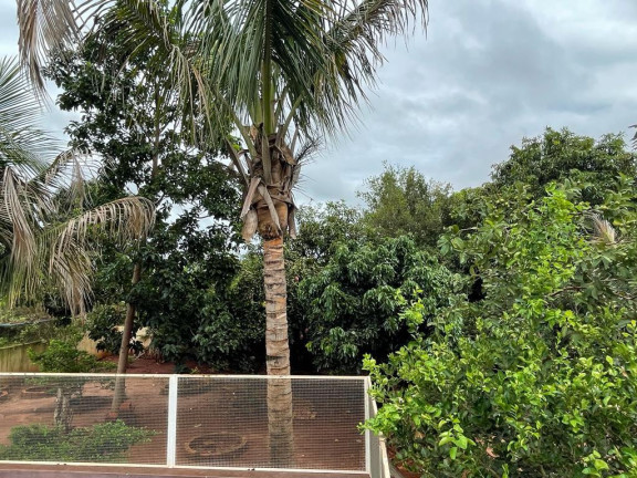 Imagem Chácara com 5 Quartos à Venda, 1.164 m² em Centro - Cândido Mota Imagem Chácara com 5 Quartos à Venda, 1.164 m² em Centro - Cândido Mota