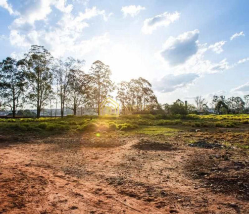 Imagem Terreno à Venda ou Locação, 28.000 m² em Cooperativa - São Bernardo Do Campo Imagem Terreno à Venda ou Locação, 28.000 m² em Cooperativa - São Bernardo Do Campo