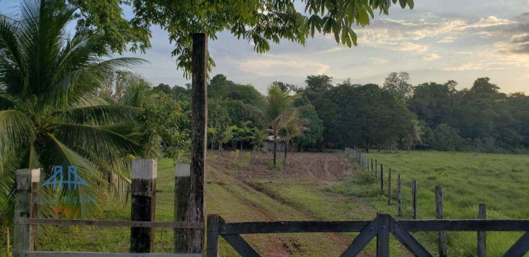 Imagem Fazenda à Venda, 2.190.000 m² em Alça Viaria - Acará Imagem Fazenda à Venda, 2.190.000 m² em Alça Viaria - Acará