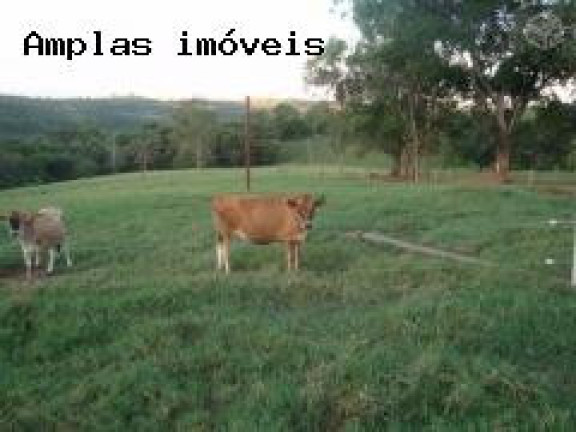 Imagem Fazenda à Venda,  em Queiroz - Mateus Leme