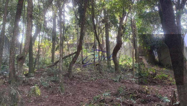 Imagem Terreno à Venda, 548 m² em Butantã - São Paulo Imagem Terreno à Venda, 548 m² em Butantã - São Paulo