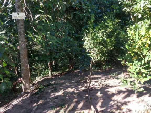 Imagem Casa com 2 Quartos à Venda, 250 m² em Jardim Vitoria - Mairinque