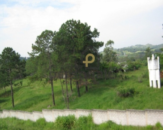 Imagem Imóvel à Venda, 50.000 m² em Brigadeiro Tobias - Sorocaba Imagem Imóvel à Venda, 50.000 m² em Brigadeiro Tobias - Sorocaba