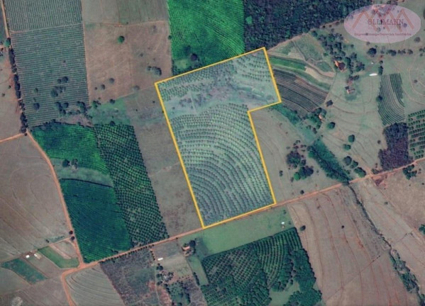 Imagem Terreno à Venda, 76.700 m² em Aparecida  D`oeste - Aparecida D`oeste