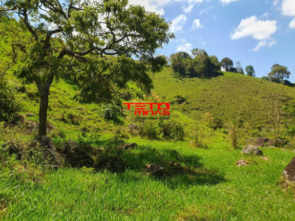 Imagem Imóvel à Venda, em Dom Viçoso - Dom Viçoso Imagem Imóvel à Venda, em Dom Viçoso - Dom Viçoso