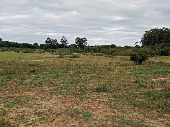 Imagem Chácara com 2 Quartos à Venda, 20.000 m² em águas Claras - Viamão Imagem Chácara com 2 Quartos à Venda, 20.000 m² em águas Claras - Viamão