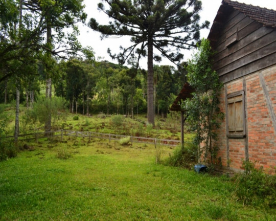Imagem Imóvel à Venda, em Linha Imperial - Nova Petrópolis Imagem Imóvel à Venda, em Linha Imperial - Nova Petrópolis