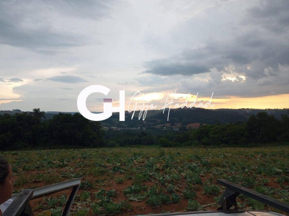 Imagem Terreno à Venda, 10 m² em Colégio - Ibiúna
