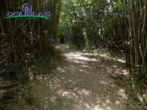 Imagem Imóvel Comercial à Venda,  em Viamão