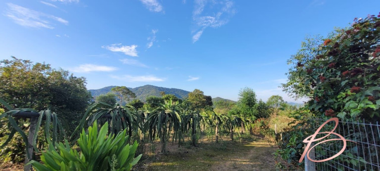 Imagem Imóvel com 2 Quartos à Venda, 40.000 m² em Ilhota - Ilhota