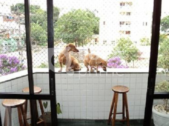 Imagem Apartamento com 3 Quartos à Venda, 96 m² em Tucuruvi - São Paulo Imagem Apartamento com 3 Quartos à Venda, 96 m² em Tucuruvi - São Paulo