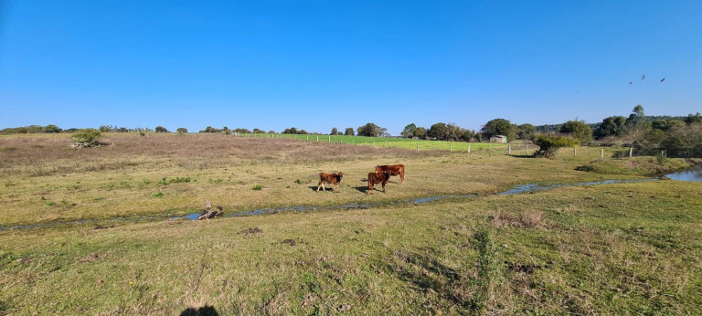 Imagem Chácara com 1 Quarto à Venda, 108.000 m² em Itapuã - Viamão Imagem Chácara com 1 Quarto à Venda, 108.000 m² em Itapuã - Viamão
