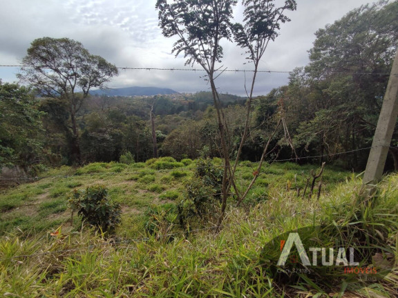 Imagem Terreno à Venda, 1.150 m² em Terra Preta - Mairiporã