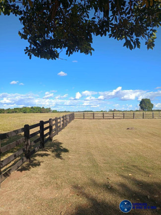 Imagem Fazenda à Venda, 450 m² em Zona Rural - Novo Mundo Imagem Fazenda à Venda, 450 m² em Zona Rural - Novo Mundo