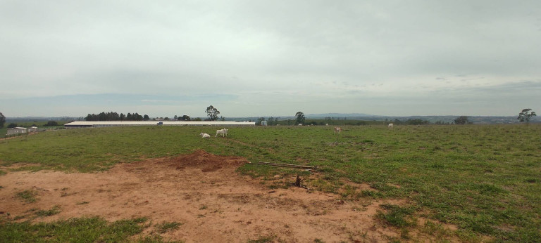 Imagem Chácara com 3 Quartos à Venda, 774 m² em Zona Rural - Alambari Imagem Chácara com 3 Quartos à Venda, 774 m² em Zona Rural - Alambari