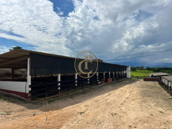 Imagem Fazenda à Venda, 6.000 m² em Chacara Do Moinho - Cachoeira Paulista