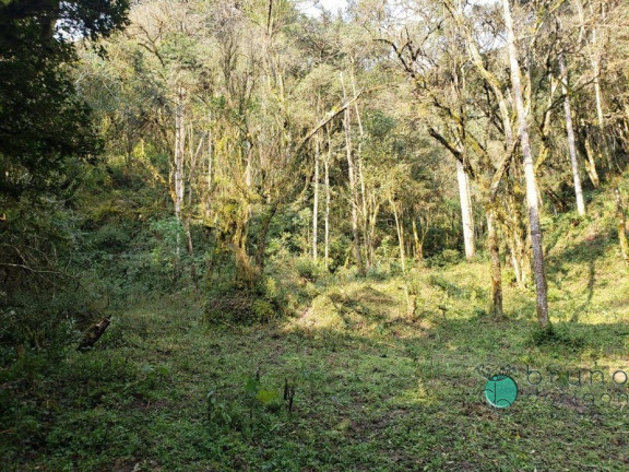 Imagem Imóvel com 1 Quarto à Venda, 72.000 m² em Interior - Bom Retiro Imagem Imóvel com 1 Quarto à Venda, 72.000 m² em Interior - Bom Retiro