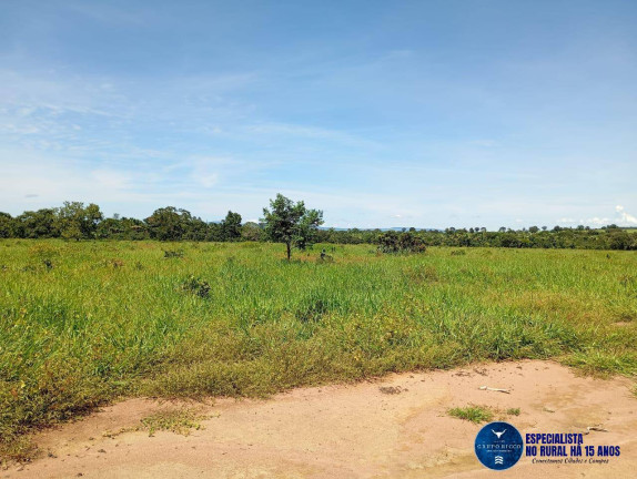 Imagem Fazenda à Venda, 60 m² em Zona Rural - Jussara Imagem Fazenda à Venda, 60 m² em Zona Rural - Jussara