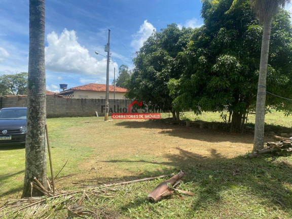Imagem Chácara com 3 Quartos à Venda, 10.000 m² em Viçosa Imagem Chácara com 3 Quartos à Venda, 10.000 m² em Viçosa