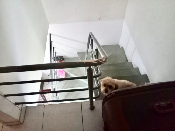 Imagem Sobrado com 3 Quartos à Venda, 60 m² em Residencial Bosque Dos Ipês - São José Dos Campos Imagem Sobrado com 3 Quartos à Venda, 60 m² em Residencial Bosque Dos Ipês - São José Dos Campos