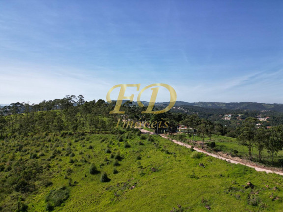 Imagem Imóvel Comercial à Venda, 380.000 m² em Terra Preta - Mairiporã Imagem Imóvel Comercial à Venda, 380.000 m² em Terra Preta - Mairiporã
