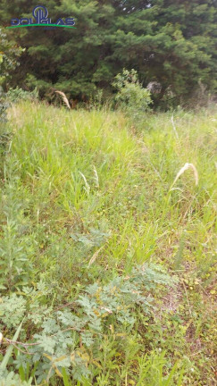 Imagem Terreno à Venda,  em águas Claras - Viamão