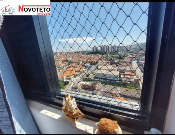Imagem Imóvel com 3 Quartos à Venda, 80 m² em Parque Fongaro - São Paulo Imagem Imóvel com 3 Quartos à Venda, 80 m² em Parque Fongaro - São Paulo
