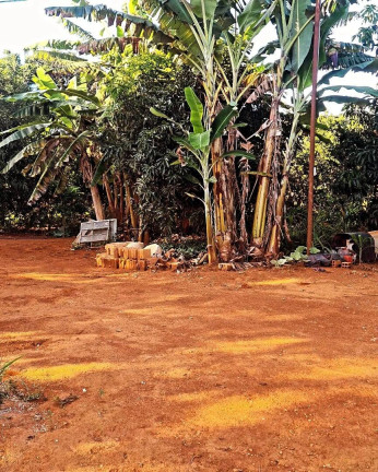 Imagem Chácara à Venda, 29.000 m² em área Rural De Luziânia - Luziânia Imagem Chácara à Venda, 29.000 m² em área Rural De Luziânia - Luziânia