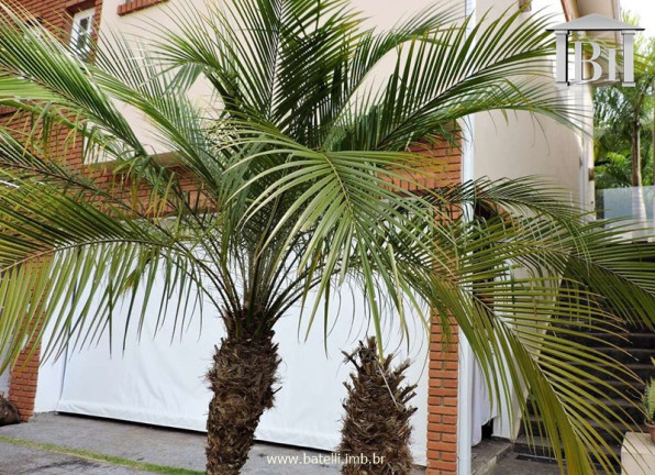 Imagem Casa de Condomínio com 3 Quartos à Venda, 211 m² em Granja Viana - Cotia Imagem Casa de Condomínio com 3 Quartos à Venda, 211 m² em Granja Viana - Cotia