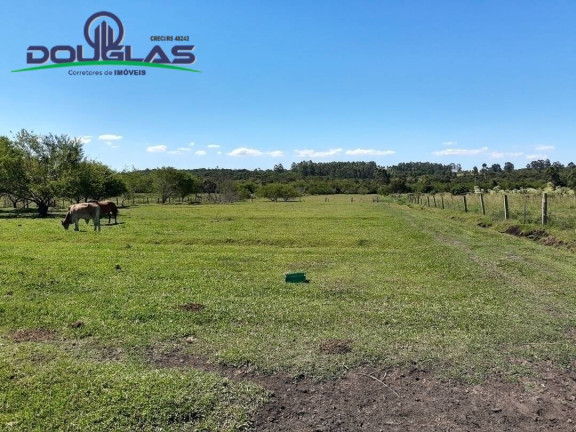 Imagem Chácara à Venda,  em águas Claras - Viamão