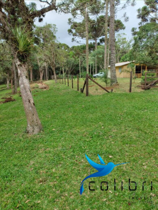 Imagem Chácara com 2 Quartos à Venda, 38.800 m² em Tarumã - Agudos Do Sul Imagem Chácara com 2 Quartos à Venda, 38.800 m² em Tarumã - Agudos Do Sul