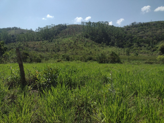 Imagem Fazenda à Venda, 100 m² em Centro - Guaratinguetá Imagem Fazenda à Venda, 100 m² em Centro - Guaratinguetá