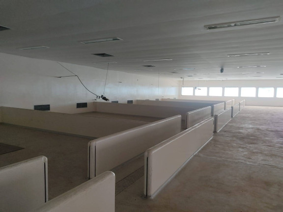 Imagem Chácara com 4 Quartos à Venda, 850 m² em Itarassú - Capela Do Alto Imagem Chácara com 4 Quartos à Venda, 850 m² em Itarassú - Capela Do Alto